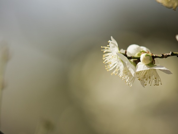 �����ߡ�