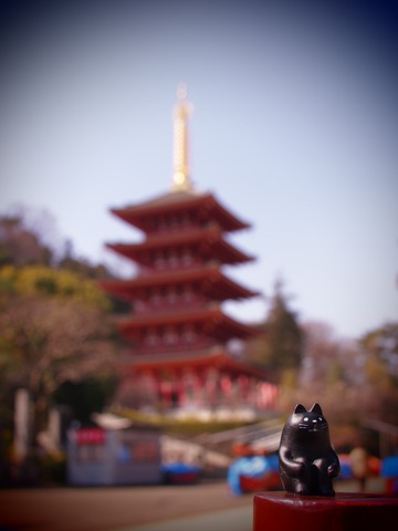 �ͥ���������ޤ�����