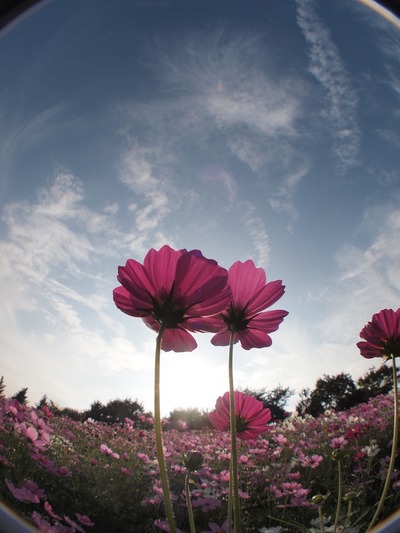 アンダー目、的な?