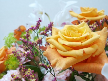 ����󤸤�������