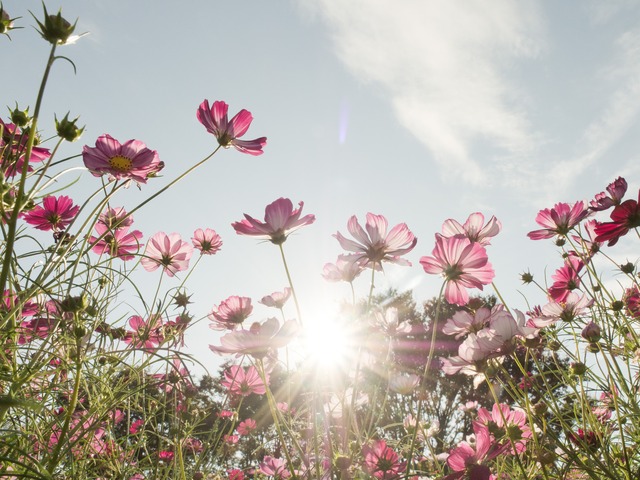 ���ɤ�Τ�����