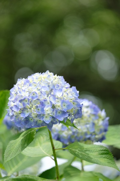 DSCF5554_rc_RS