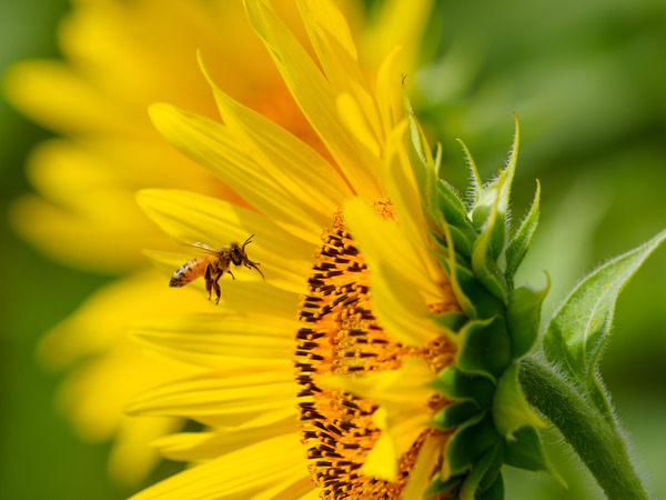 1X069265-����-NR