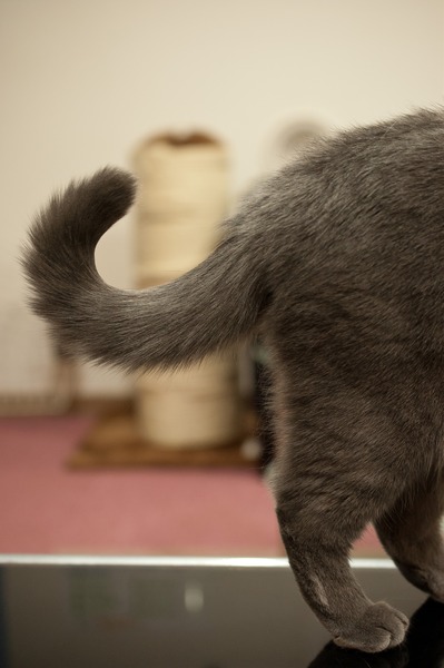 ������á�