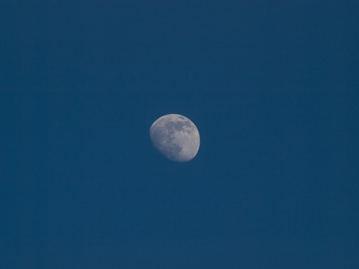 blue moon