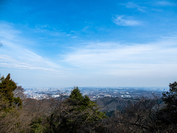 3M290313_rc