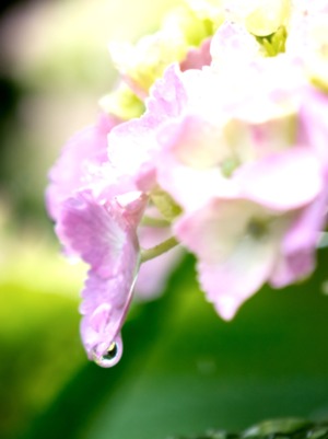 ��������������