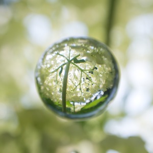 ��̡����夲��������