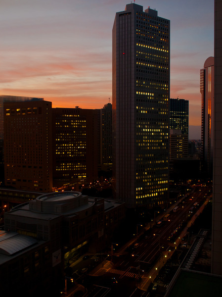 Shinjuku Twilight Time