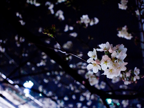 �餭�ޤ�����