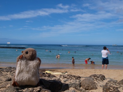 ���������ɥ��󥬡�