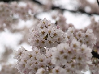 �����飱��