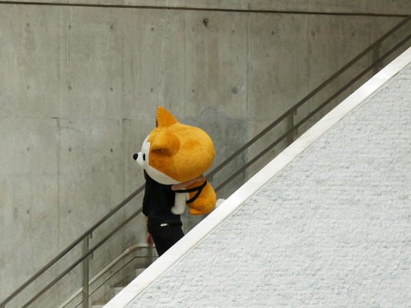 3M263478-ORF_DxO_DeepPRIME_rct