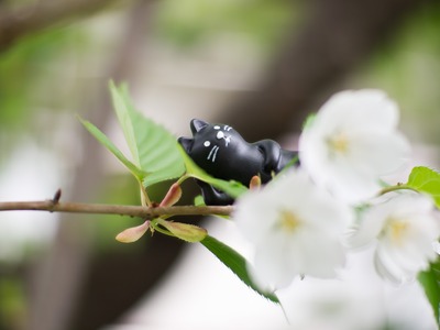 �ҤȤ䤹�ߡ�