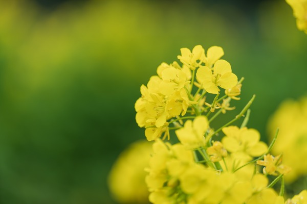 DSCF3023-����-NR_R