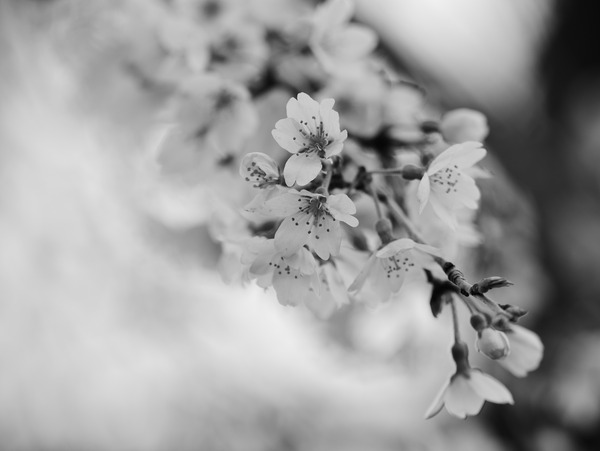 P1080844