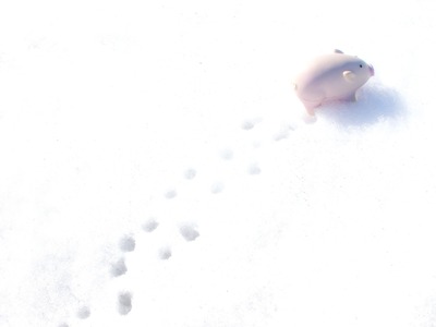 ぶたさんも雪が好き。
