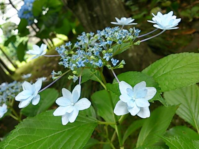 971260_10151774856865676_1583249194_n (1)