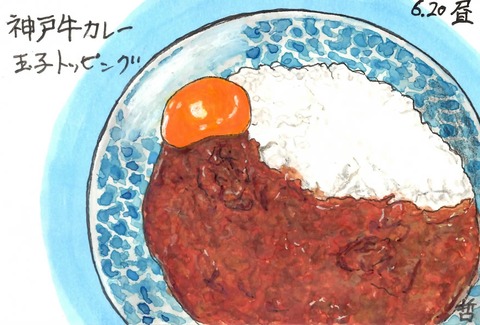220624フジオカレー2