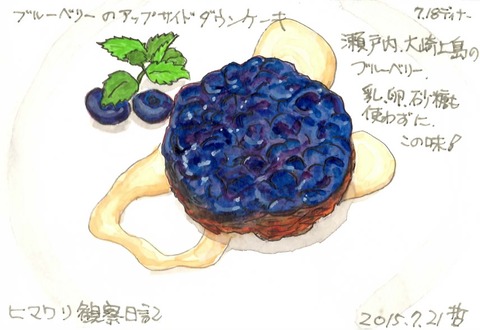 ヒマワリ7