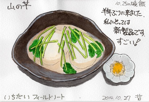 いちだい　山の芋