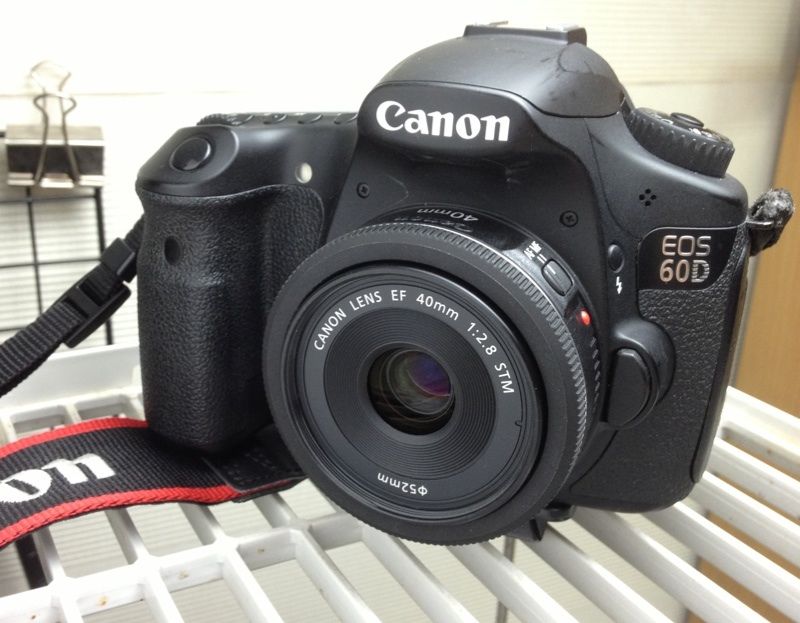 【カメラ雑記】EF40mm F2.8 STMを60Dにつけて夕暮れの公園で試し撮りしてきた : サグラのきままブログ