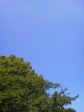 66747c9d.jpg