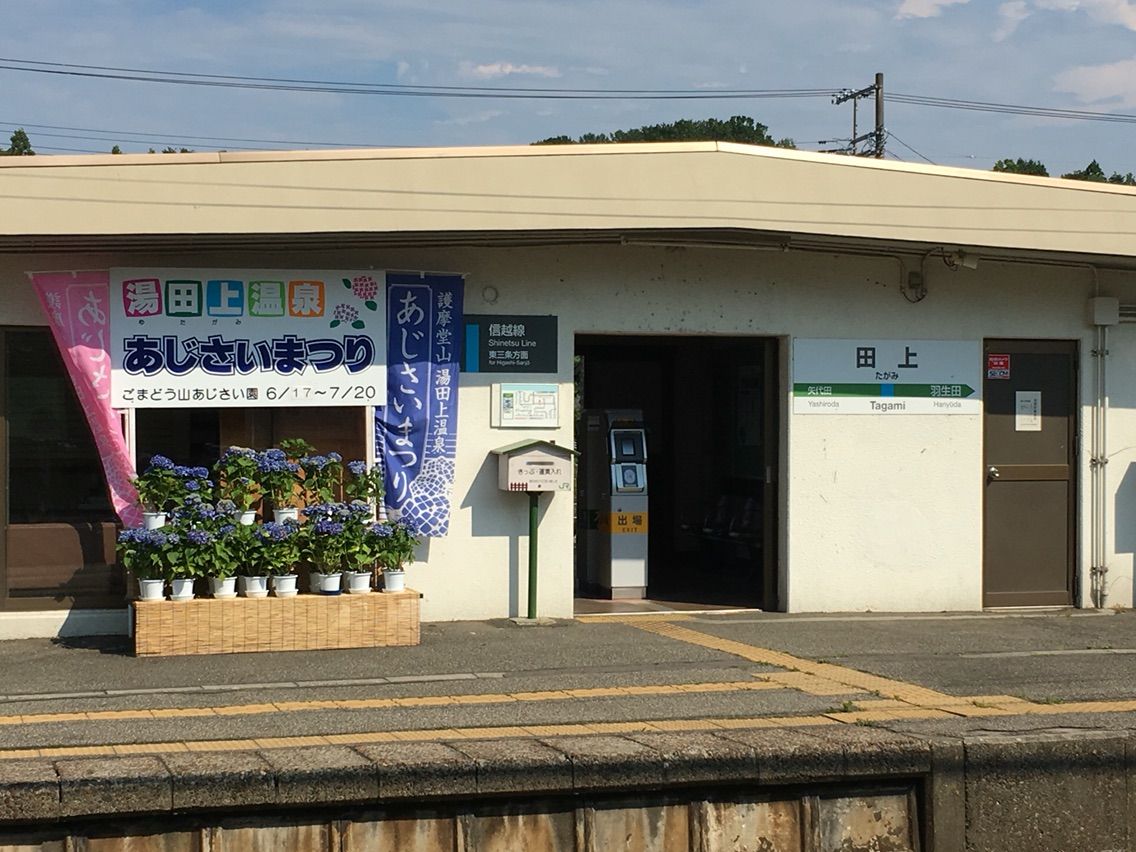 護摩堂山あじさい園 カルメンの日記帳