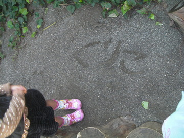 SANY0870