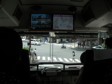SANY1334