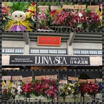 LUNA SEA30周年おめでとう!