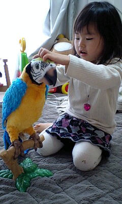 夢おうむ。 : 空と海としゅんなの日常 夢おうむ。 : 空と海としゅんなの日常