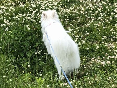 20190609_05