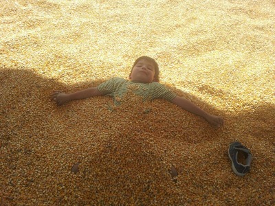 corn pit