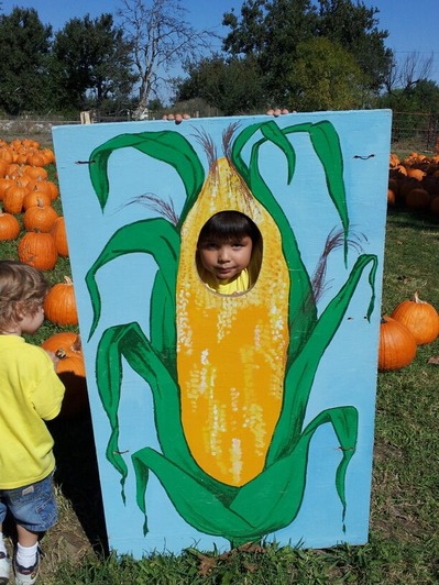 corn