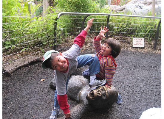 sandiegozoo2