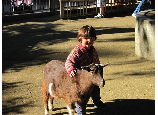 sandiegozoo3
