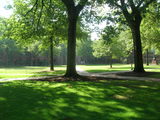 Yale