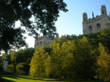 The University of Chicago