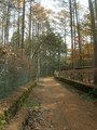 軽井沢 別荘