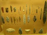 solutreen