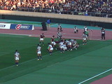 早明ラグビー国立