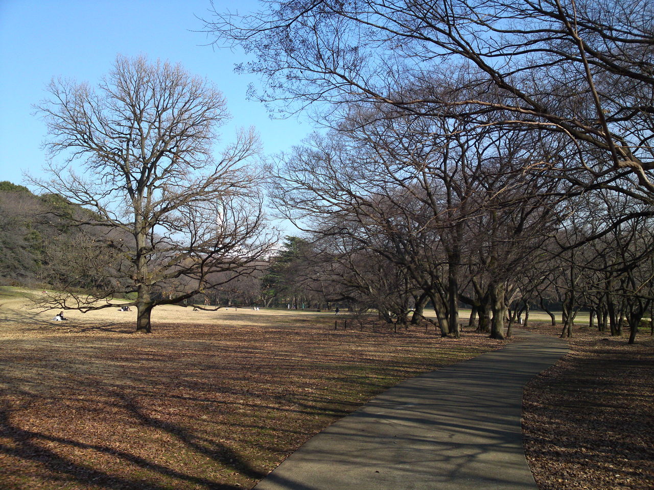 砧公園