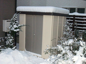 snow20130127