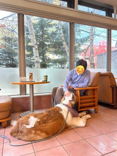 犬に関する事件 話題 ボルゾイ暮らしトコトコ新聞22