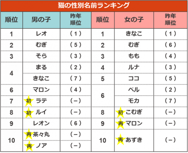 ペットに関する事件 話題 ボルゾイ暮らしトコトコ新聞21 ペットに関する事件 話題 ボルゾイ暮らしトコトコ新聞21