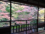 堤1