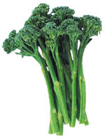 ���㥤�ˡ������֥��å��꡼