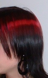 new style