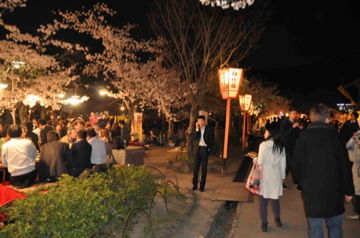 Apr10,2012 円山公園